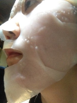 HIRONDELLE FACE MASK premium