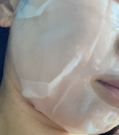 HIRONDELLE FACE MASK premium