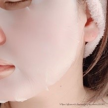 HIRONDELLE FACE MASK premium